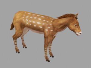 new breed horse 3D Модель
