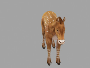 new breed horse Modello 3D
