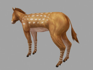 new breed horse Modello 3D