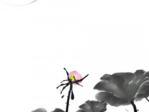 lotus flower 3D 모델
