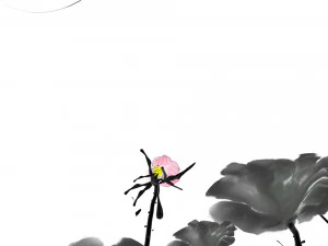 kwiat lotosu Model 3D