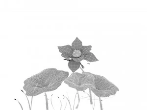 lotus flower 3D Model