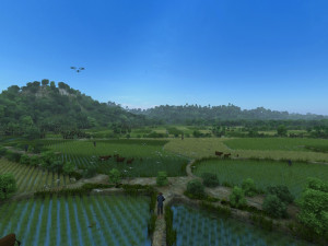 field 3D Модель