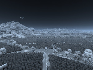 field 3D Модель