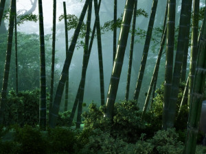 giant panda 3D Model
