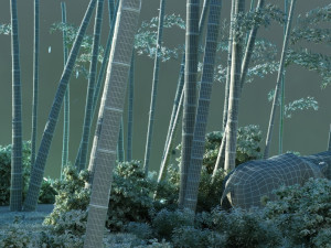 giant panda Modèle 3D
