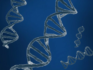 dna string Modelo 3D