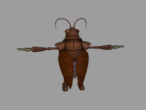 locust 3Dモデル