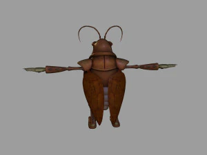 locust 3D Model