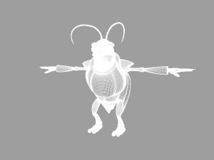 locust 3D Model