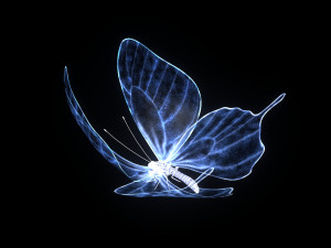 butterfly Modelo 3D