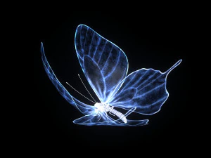蝴蝶 3D 模型