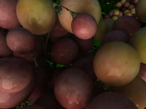 orchard 3D Model