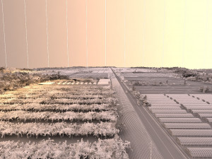 orchard Model 3D