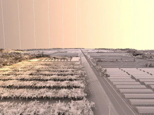 orchard 3D Model