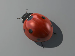 божья коровка 3D Модель