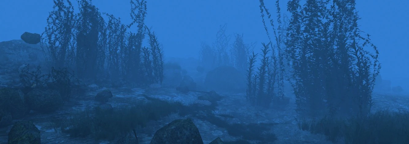 underwater 3D Model .c4d .max .obj .3ds .fbx .stl .blend 