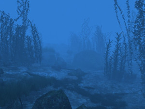 underwater 3D Model