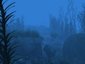 underwater 3D Model