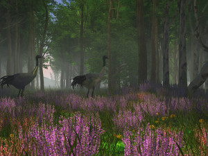 jungle 3D Model