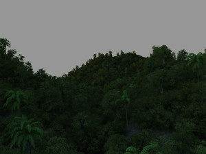 jungle Model 3D