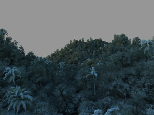 jungle Model 3D