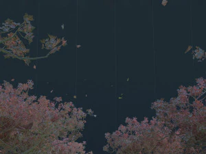 peach grove 3D Model