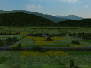 field 3D Model