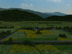 field 3D Model