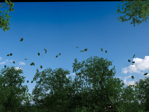 forest 3D Model