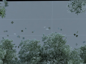 forest 3D Model