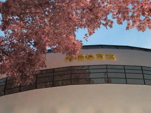 stadium 3D Model