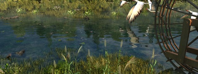 wetlands 3D-Modell .c4d .max .obj .3ds .fbx .stl .blend 