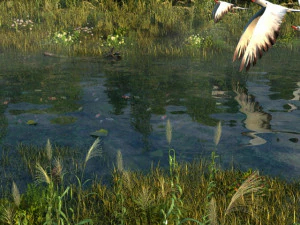 zone umide Modello 3D