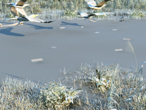 wetlands 3D-Modell