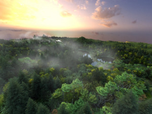 wetlands 3D Модель