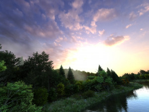 wetlands 3D Model