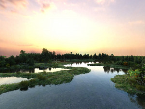 wetlands 3D Model