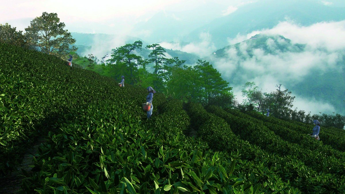 tea garden 3D Model .c4d .max .obj .3ds .fbx .stl .blend 