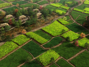 farmland 3D Model