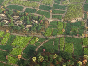 farmland 3D Model