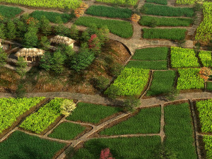 farmland 3D Model