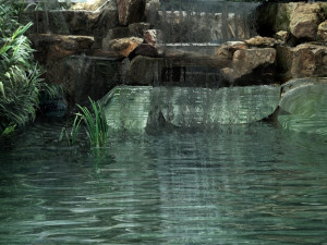 small pool 3D 模型