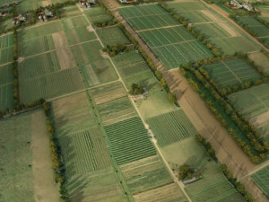 farmland Modelo 3D