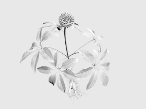 three seven 3D Model