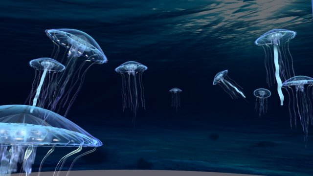 jellyfish 3D Модель .c4d .max .obj .3ds .fbx .stl .blend 