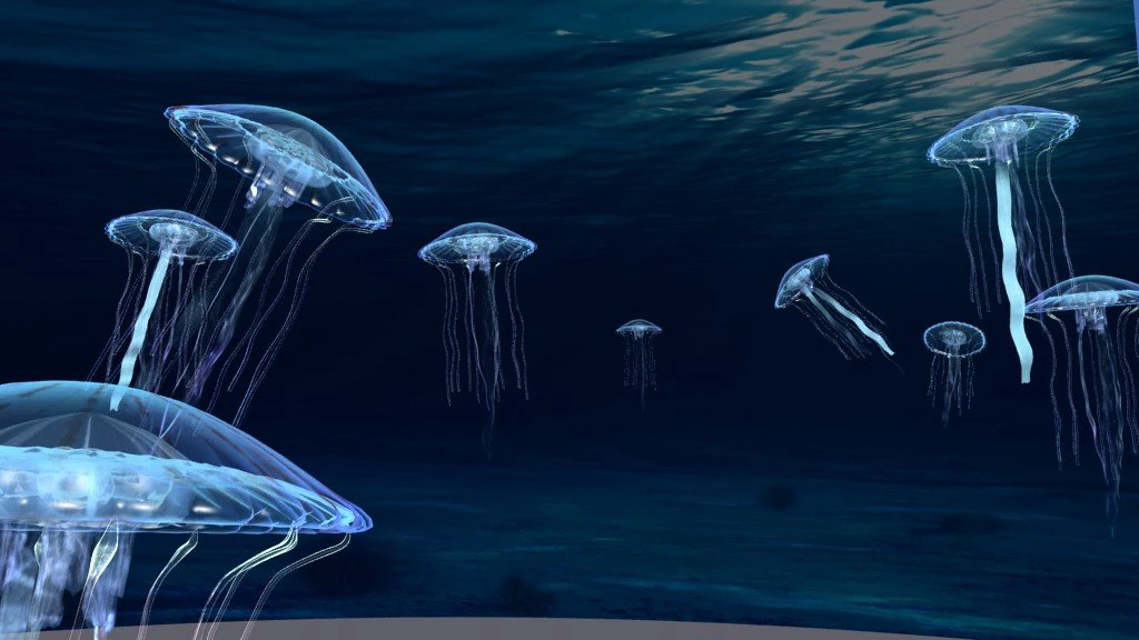 jellyfish 3D Model .c4d .max .obj .3ds .fbx .stl .blend