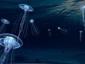 jellyfish 3D Модель