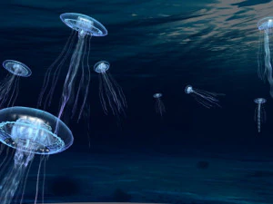 jellyfish 3D Model