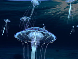 jellyfish 3D Model